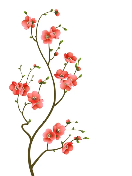 Rama de flores de cerezo fondo abstracto — Vector de stock