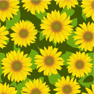 Sunflower flower seamless background clipart