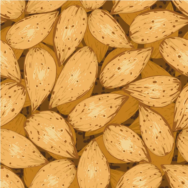 Shelled almonds seamless background — Stock Vector