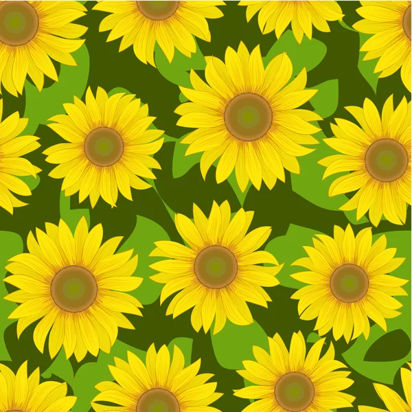 Slunečnice květiny bezešvé pozadí — Stockový vektor