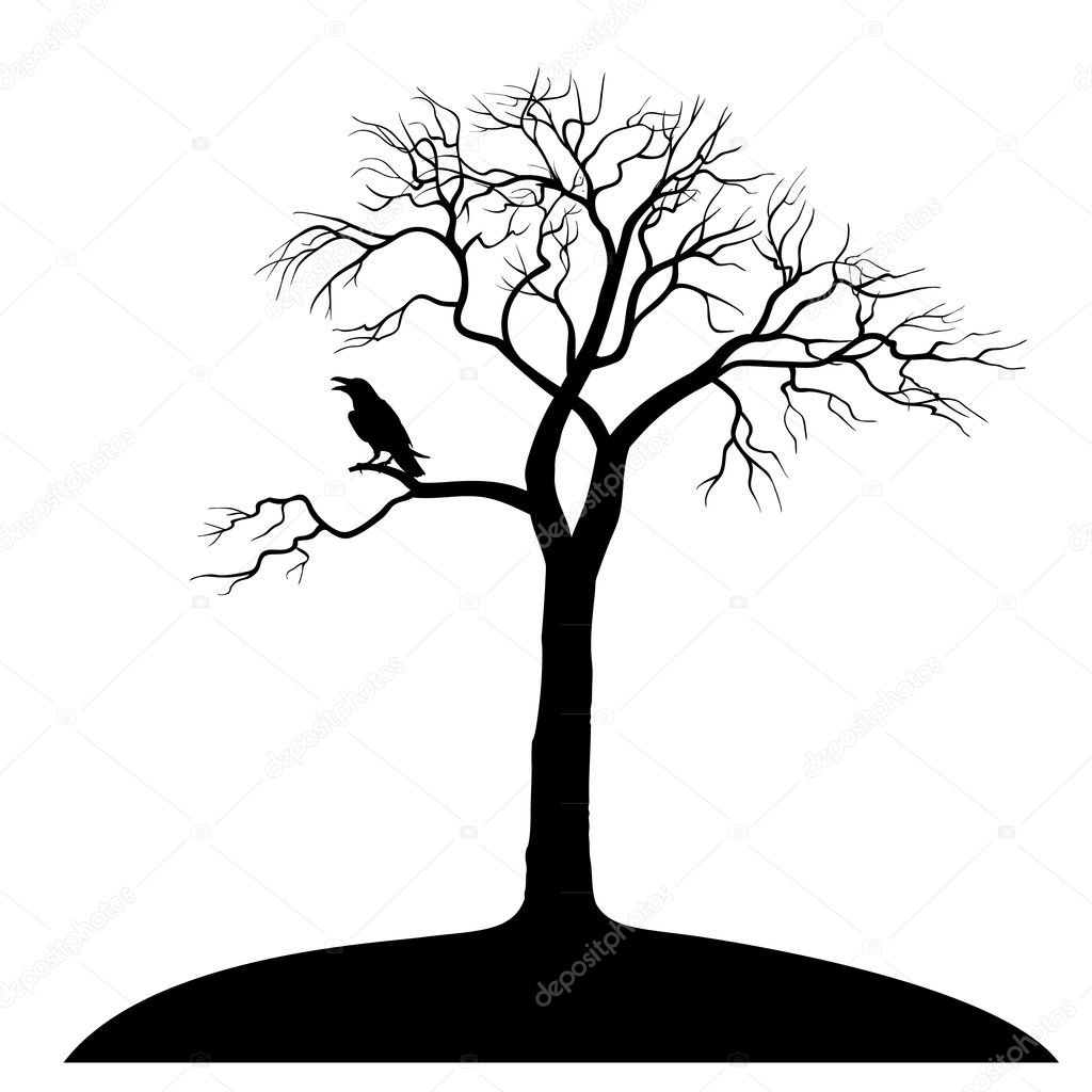Silhouette ravens on tree isolated
