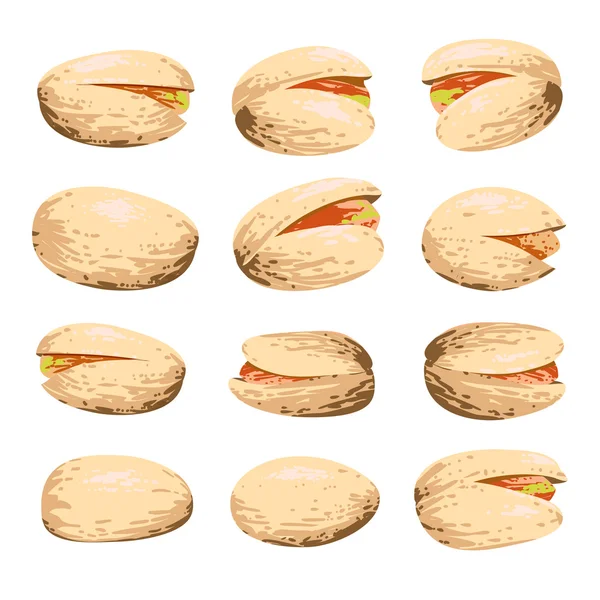Conjunto de frutos de pistacho aislados en blanco — Vector de stock