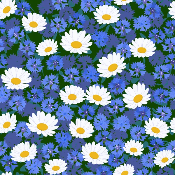 Camomilles sans couture et motif de bleuet — Image vectorielle