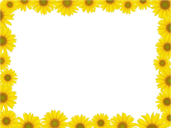 Sunflower frame — Stock Vector