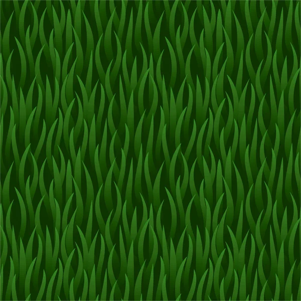 Green grass field seamless background — Stock Vector