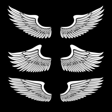 White angel wings set isolated on black clipart