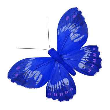 Blue Butterfly clipart