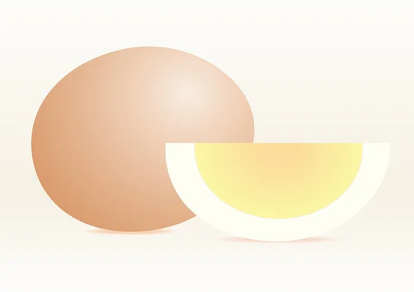 Gekochte Eier. — Stockvektor