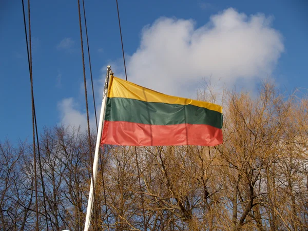 stock image Fluttering flag of the Lithuanian republic