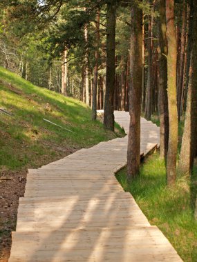 turistik güzergah üzerinde tükürük kurshsky