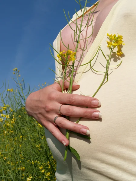 菜の花畑で妊娠中の女性 — ストック写真