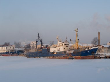 Kaliningrad. Kuru yük gemisi Sea port ticaret 