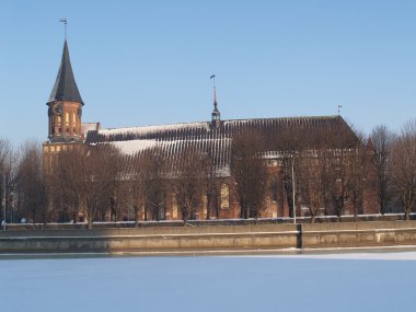 Kaliningrad bir katedral kış