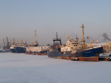 Kaliningrad, Rusya ticaret Limanı kış