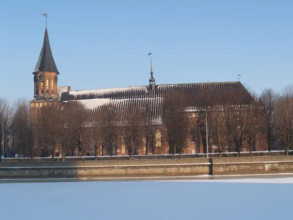 Kaliningrado Uma catedral no inverno — Fotografia de Stock