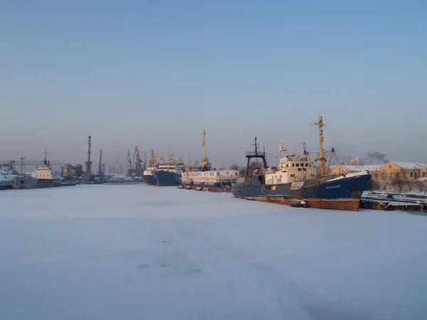 Kaliningrad, Rusland handel zeehaven in de winter — Stockfoto