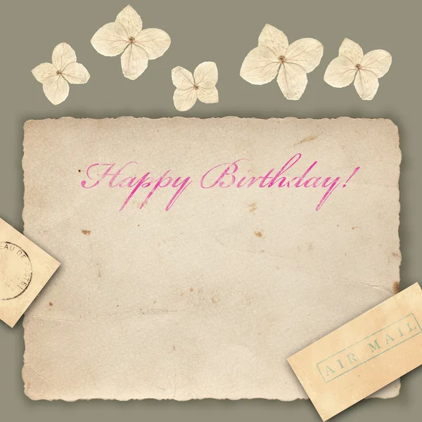A birthday greeting card with a flowers — Stock Photo, Image