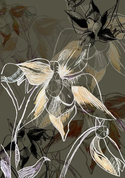 Metin veya görüntü alanı olan bir çiçekli Grunge arka plan — Stok fotoğraf