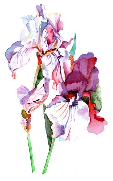 Grunge-Hintergrund mit einer Blume mit Platz für Text oder Bild — Stockfoto