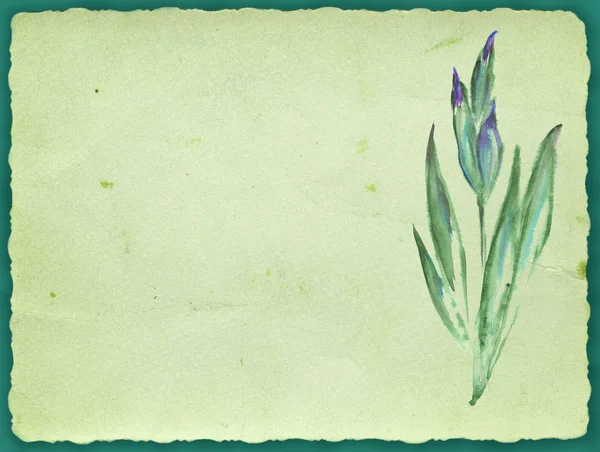 Oud papier met bloemenpatroon — Stockfoto