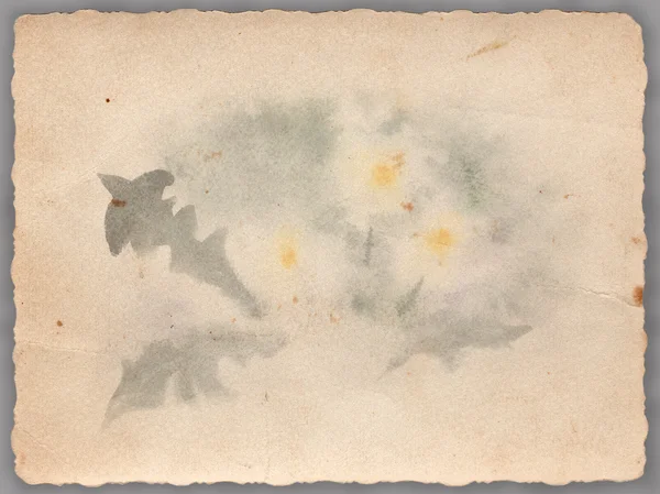 Старая бумага с цветочным фоном — стоковое фото