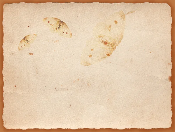 Antika arka plan üzerinde elle çizilmiş kelebek — Stok fotoğraf