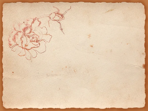Antika arka plan şeffaf çiçek — Stok fotoğraf