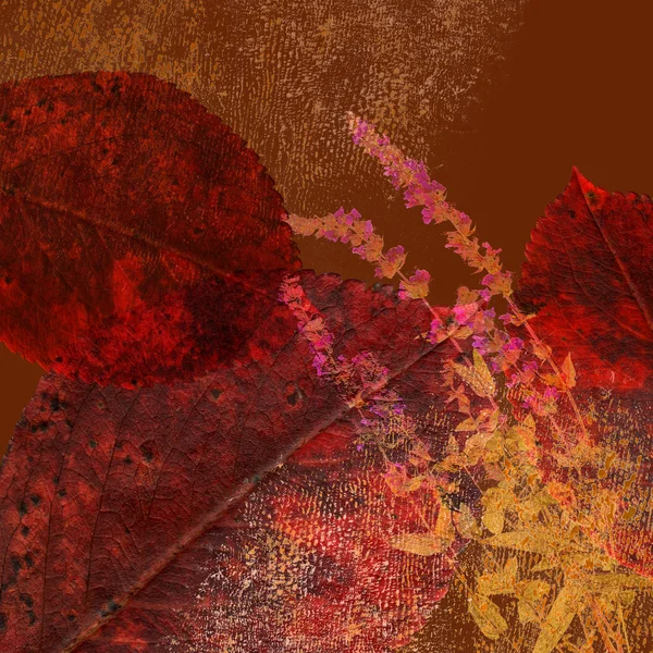 复古秋季裱的背景 — 图库照片