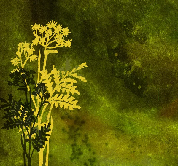 草や古代の薄暗い背景に蝶 — ストック写真