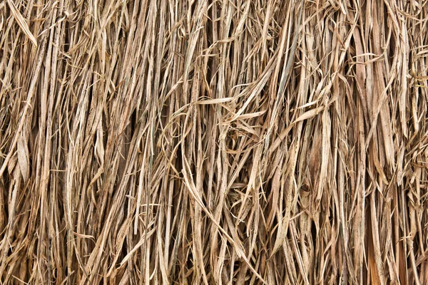 Stapel droog grassen — Stockfoto