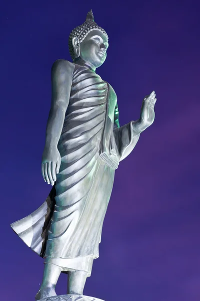 Назад прогулянкової статуї Будди в сутінках плиткою — стокове фото
