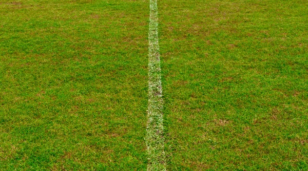 Green grass field with line — Stock Photo, Image