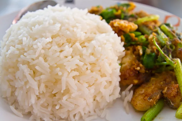Koka ris med stekt fisk — Stockfoto