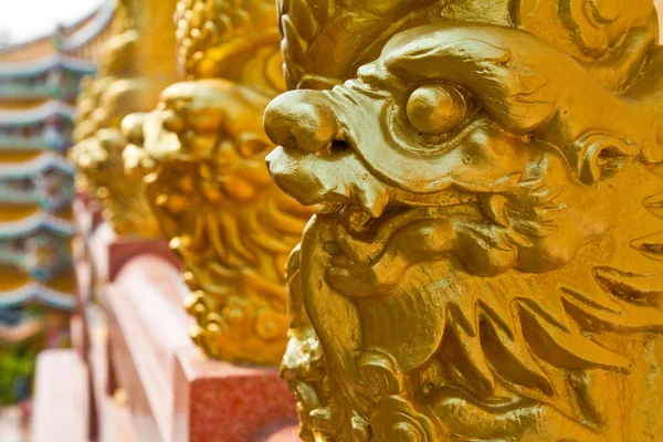 Golden dragon pillars — Stock Photo, Image