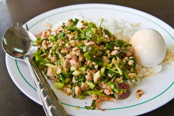 Gekookte rijst met kruidige gehakt vlees salade en gekookt ei — Stockfoto