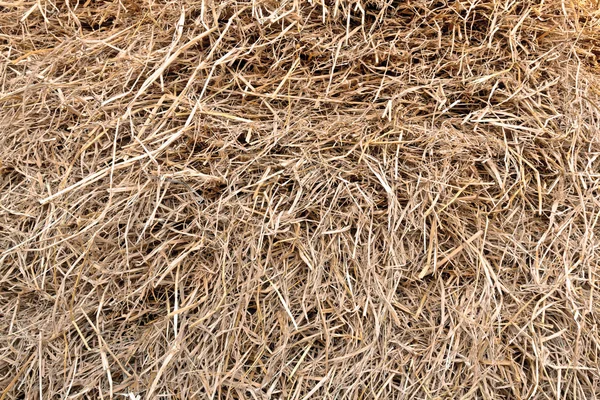 堆的稻草 — 图库照片