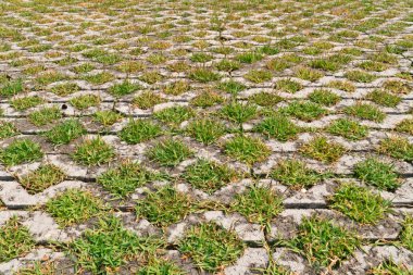 Flagstones with green grasses patern clipart