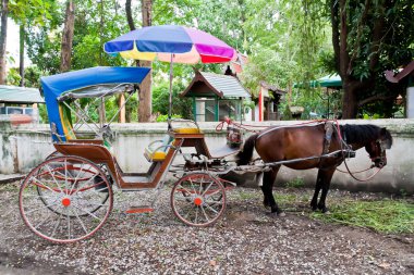 Tayland at arabası