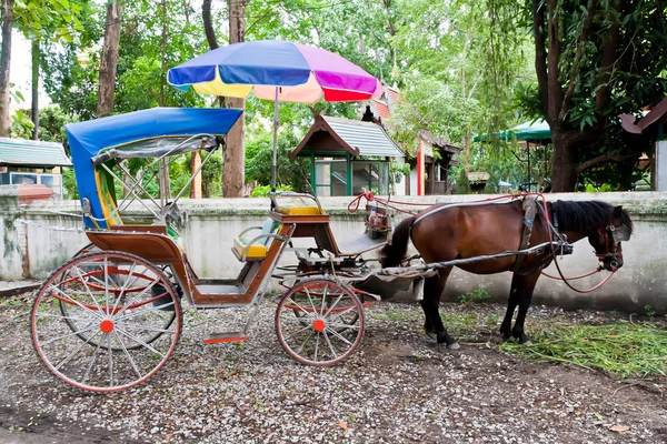 stock image Horse carriage in Thailand