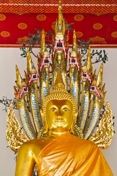 那伽样式所涵盖的佛雕像 — 图库照片