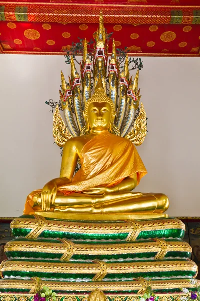 Buddha statue covered by naga style — Stock Photo, Image