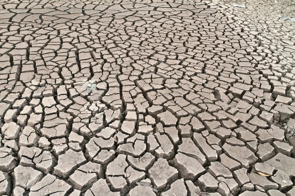 Terreno arido — Foto Stock