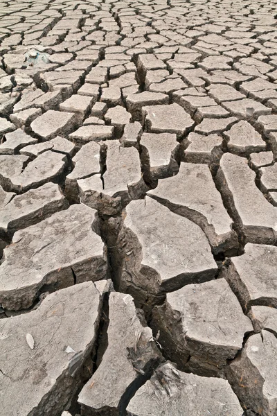 乾燥した地面の土地 — ストック写真