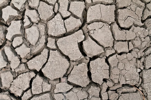 乾燥地の土地の表面 — ストック写真