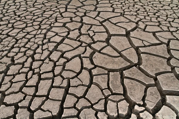 乾燥した地面の土地 — ストック写真