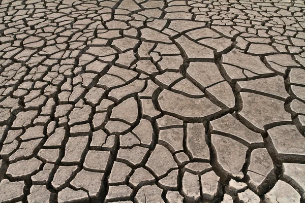 Terreno arido — Foto Stock