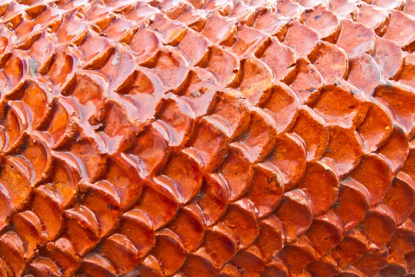Escalas de dragão laranja — Fotografia de Stock