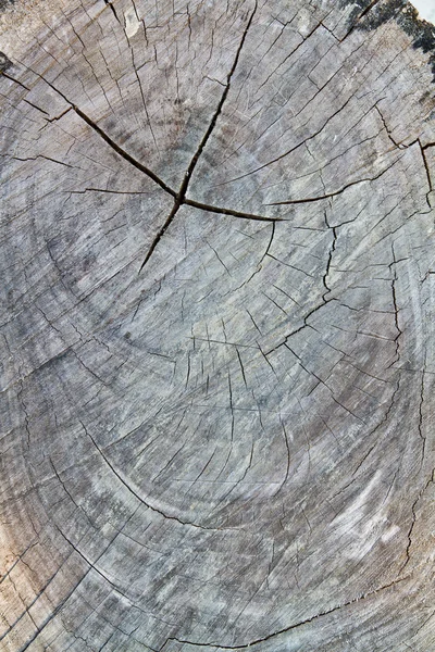 Superfície cortada de madeira escura — Fotografia de Stock