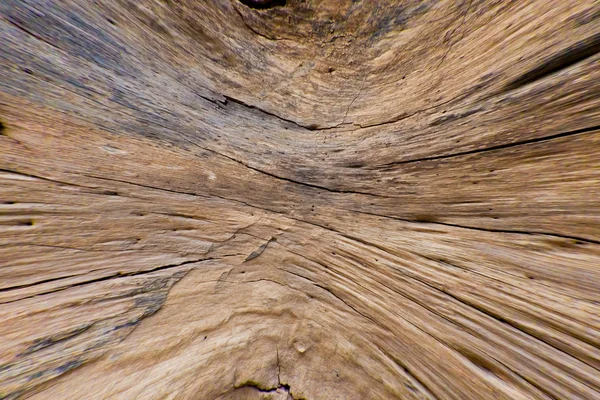 Binnen log houtstructuur — Stockfoto