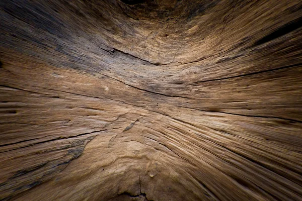Textura madera tronco interior — Foto de Stock